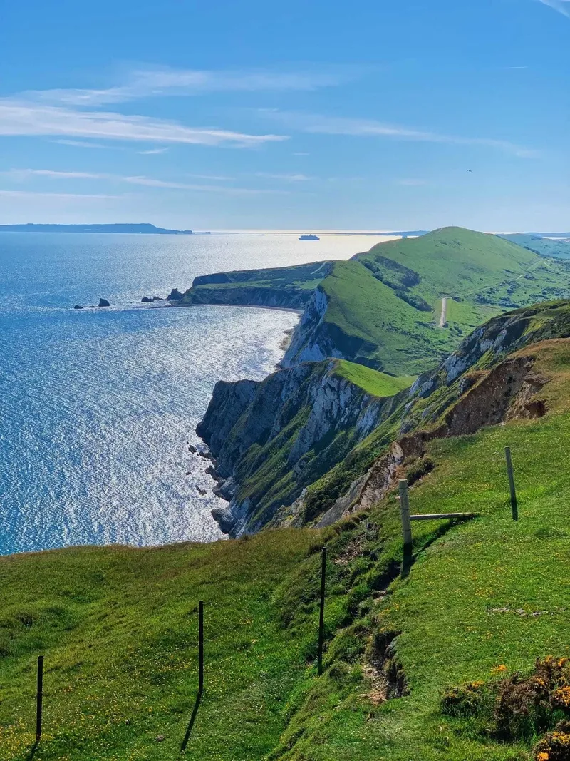 Sweeping view of green chalk cliffs dropping to a shimmering blue sea on the Jurassic Coast, Dorset, on a clear sunny day with a cruise ship visible on the horizon.